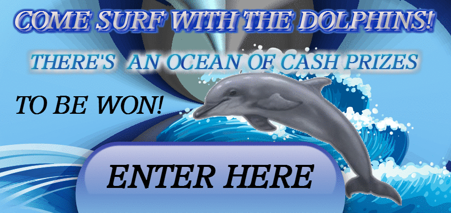 http://dolphinclicks.com DOLPHINS splash
